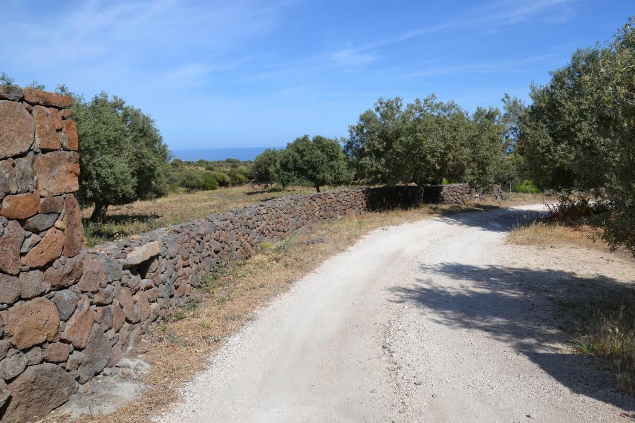 Casa Indipendente Immersa Nel Verde Con Vista Mare Dorgali Eksteriør bilde