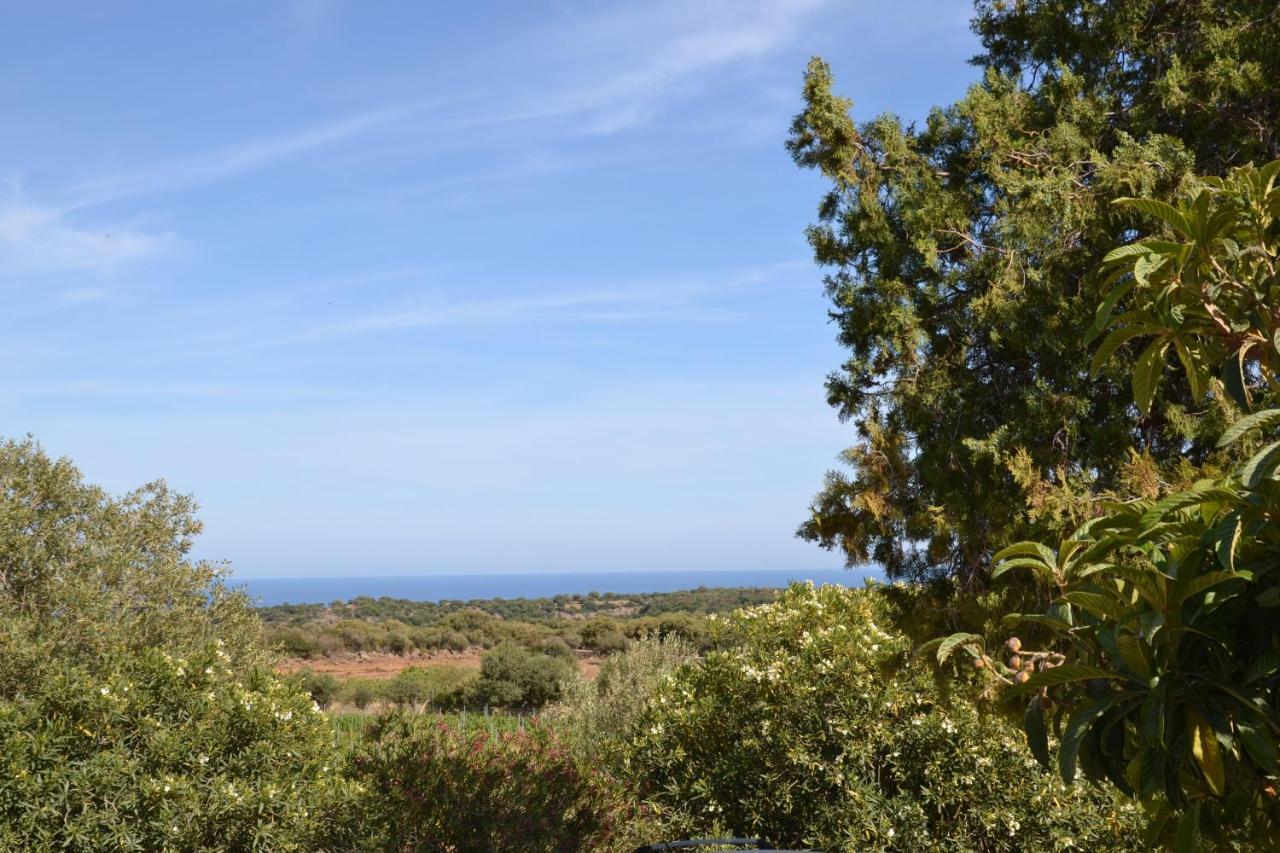Casa Indipendente Immersa Nel Verde Con Vista Mare Dorgali Eksteriør bilde
